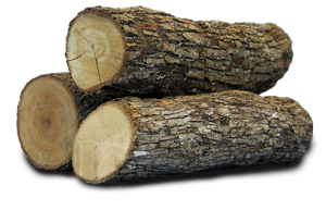 log